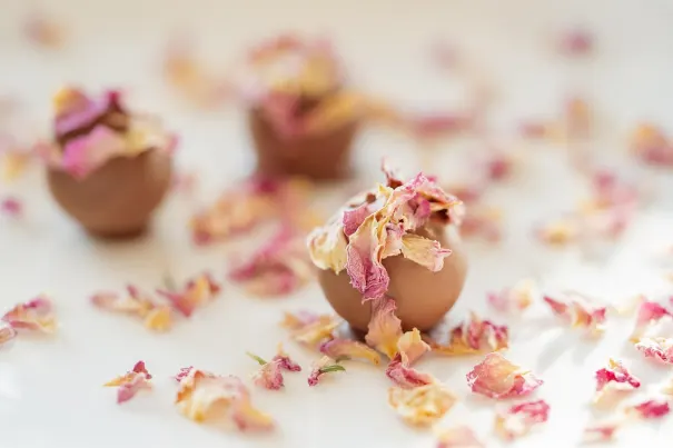 Казино Чили Спинс Android/iOS приложение